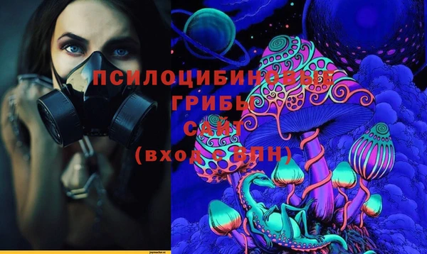 дурь Корсаков