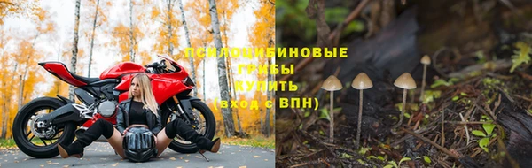 спайс Коряжма